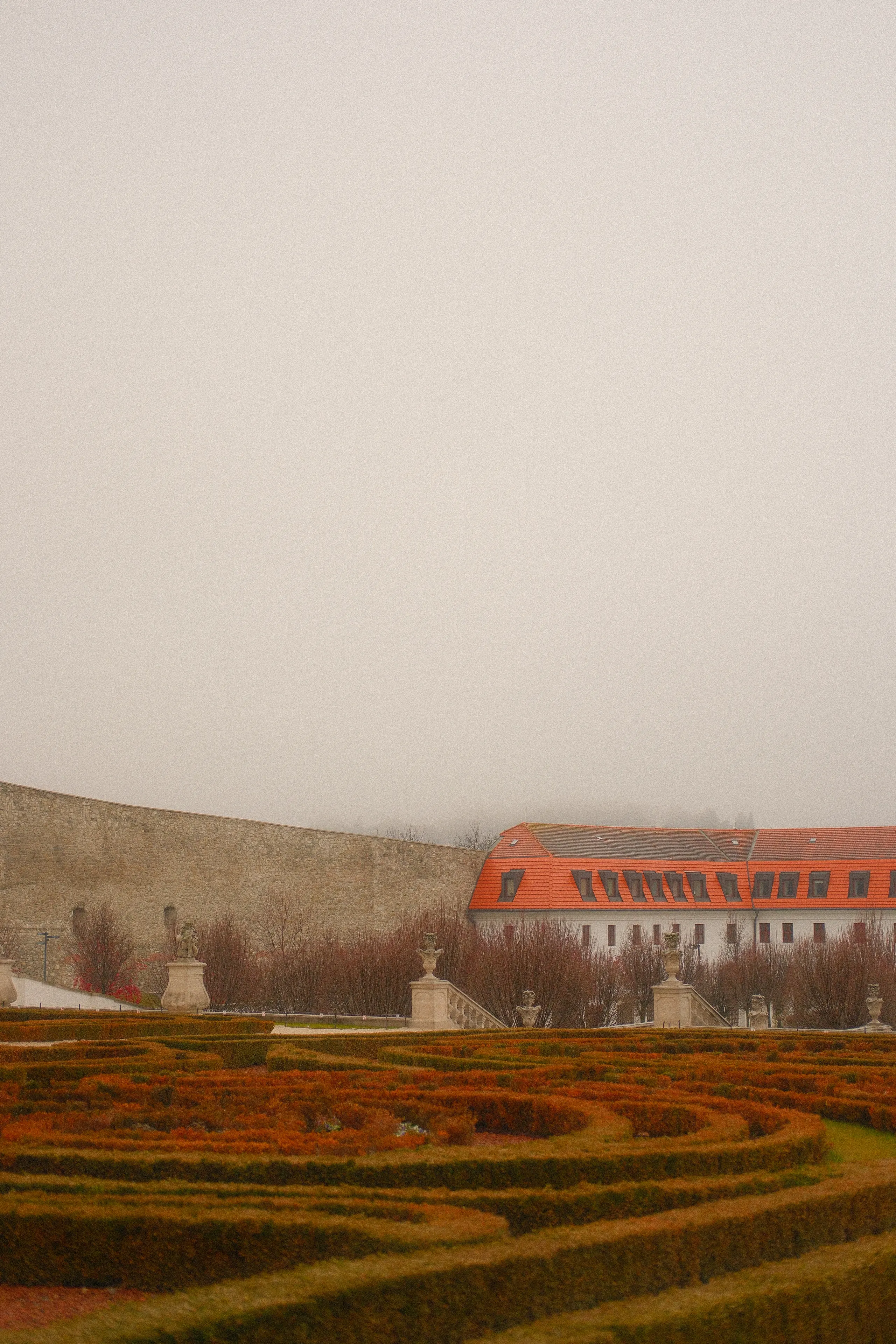 Clipped hedge gardens below Bratislava Castle in fog