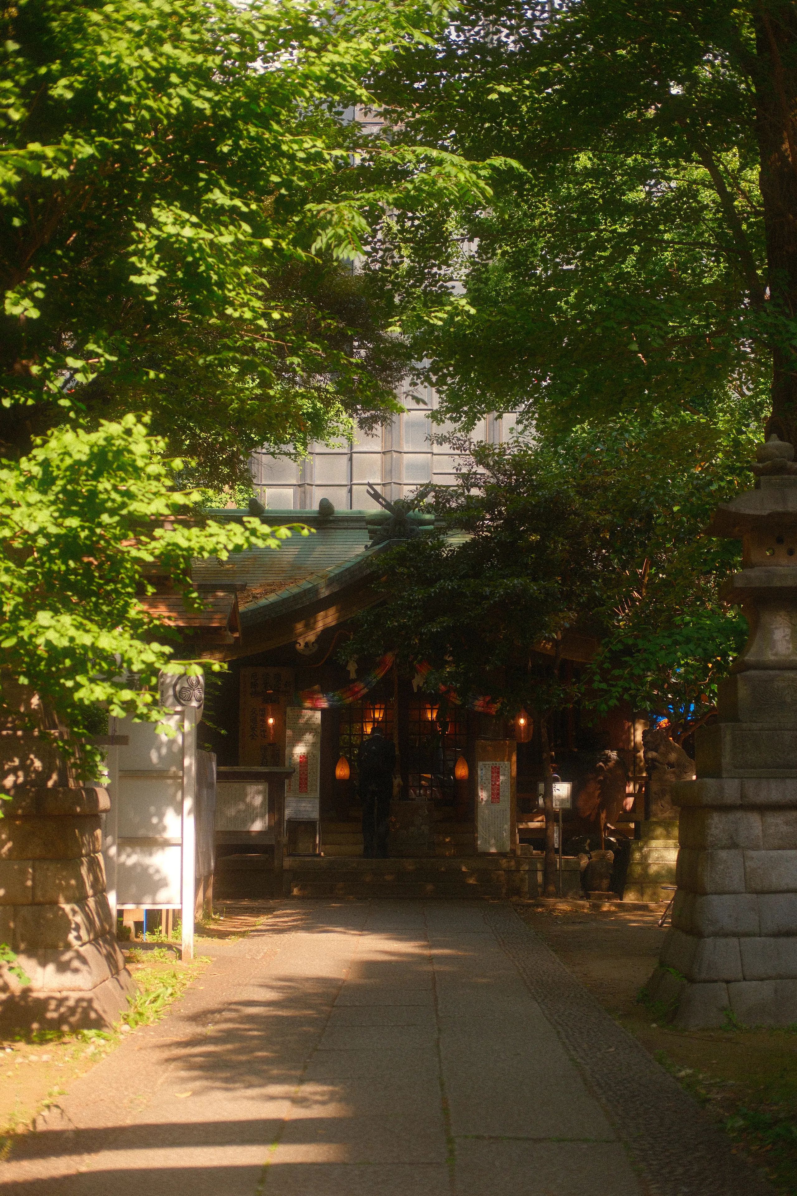 A shaded stone path leading to a shrine in Tokyo