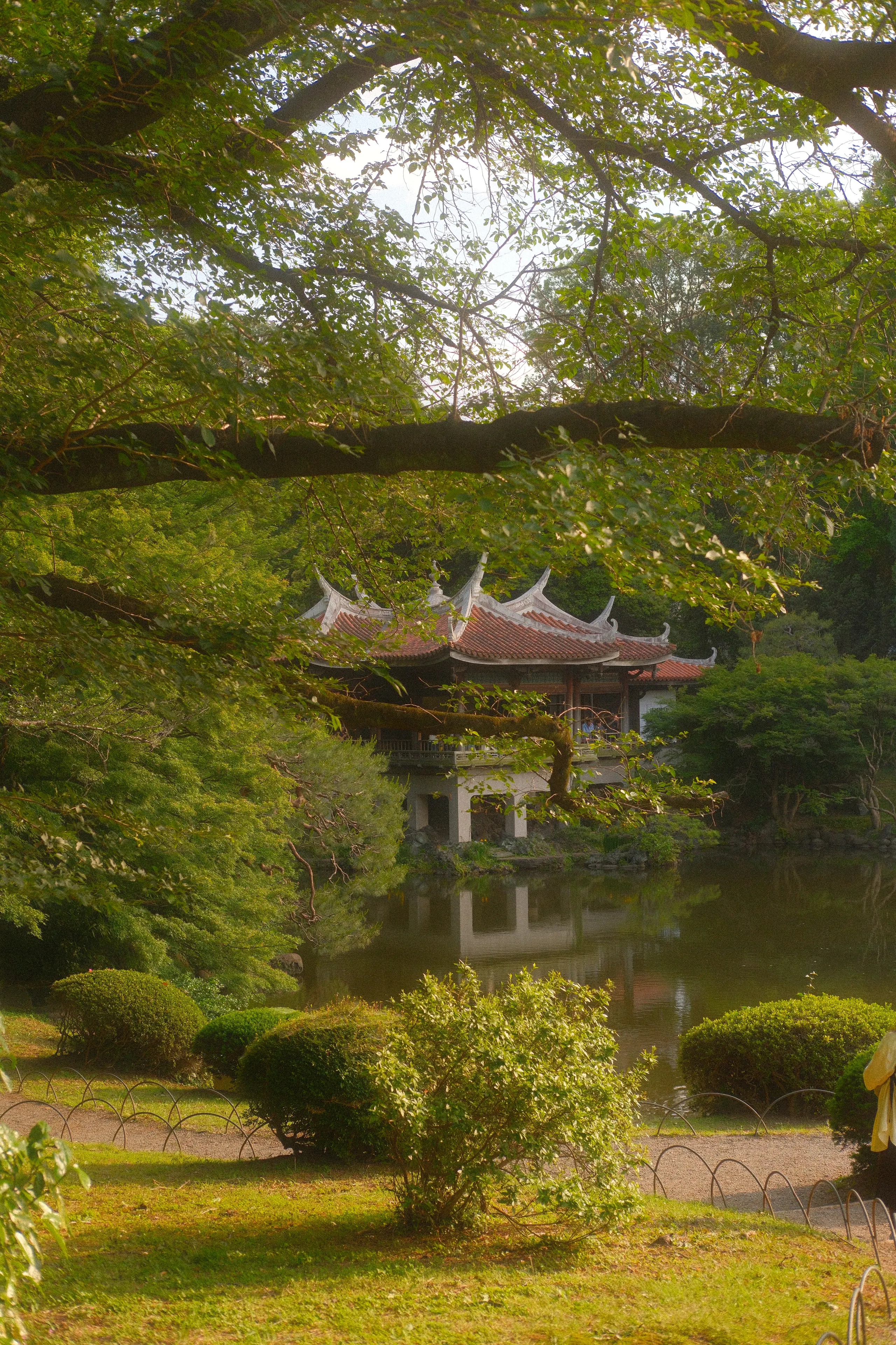 A pavilion beside a pond in Shinjuku Gyoen