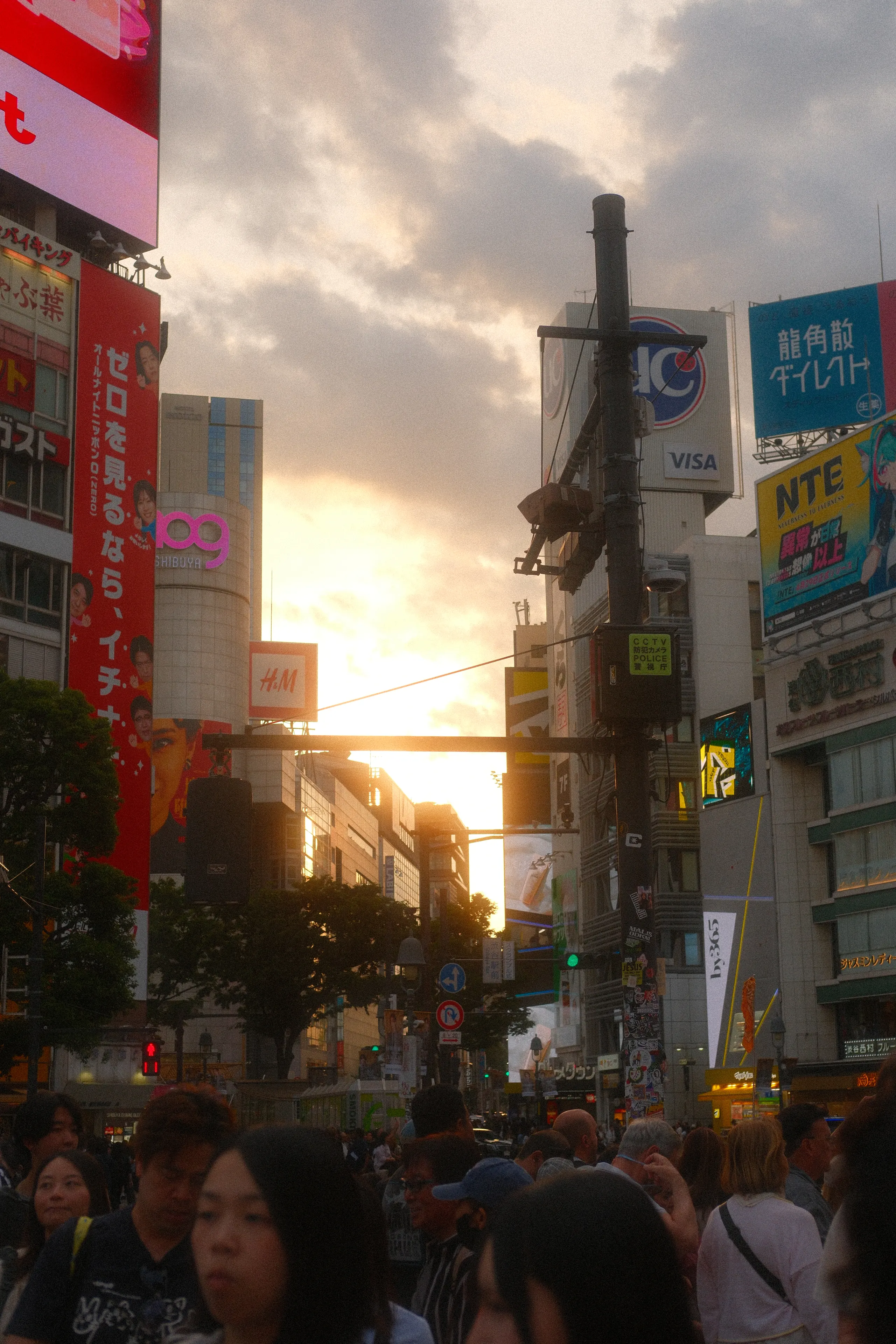 A crowded Shibuya street at golden hour