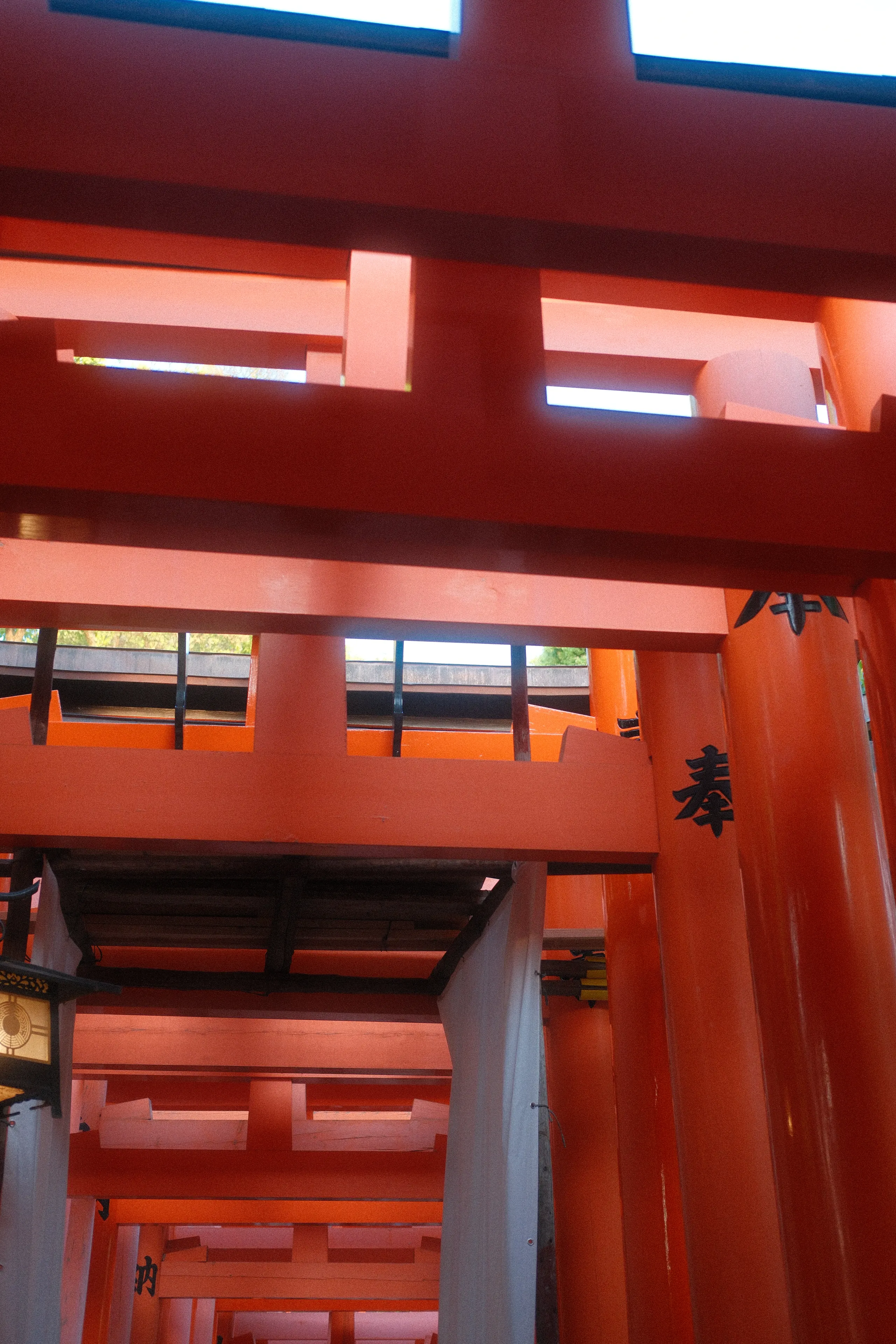 Rows of vermilion torii gates at Fushimi Inari
