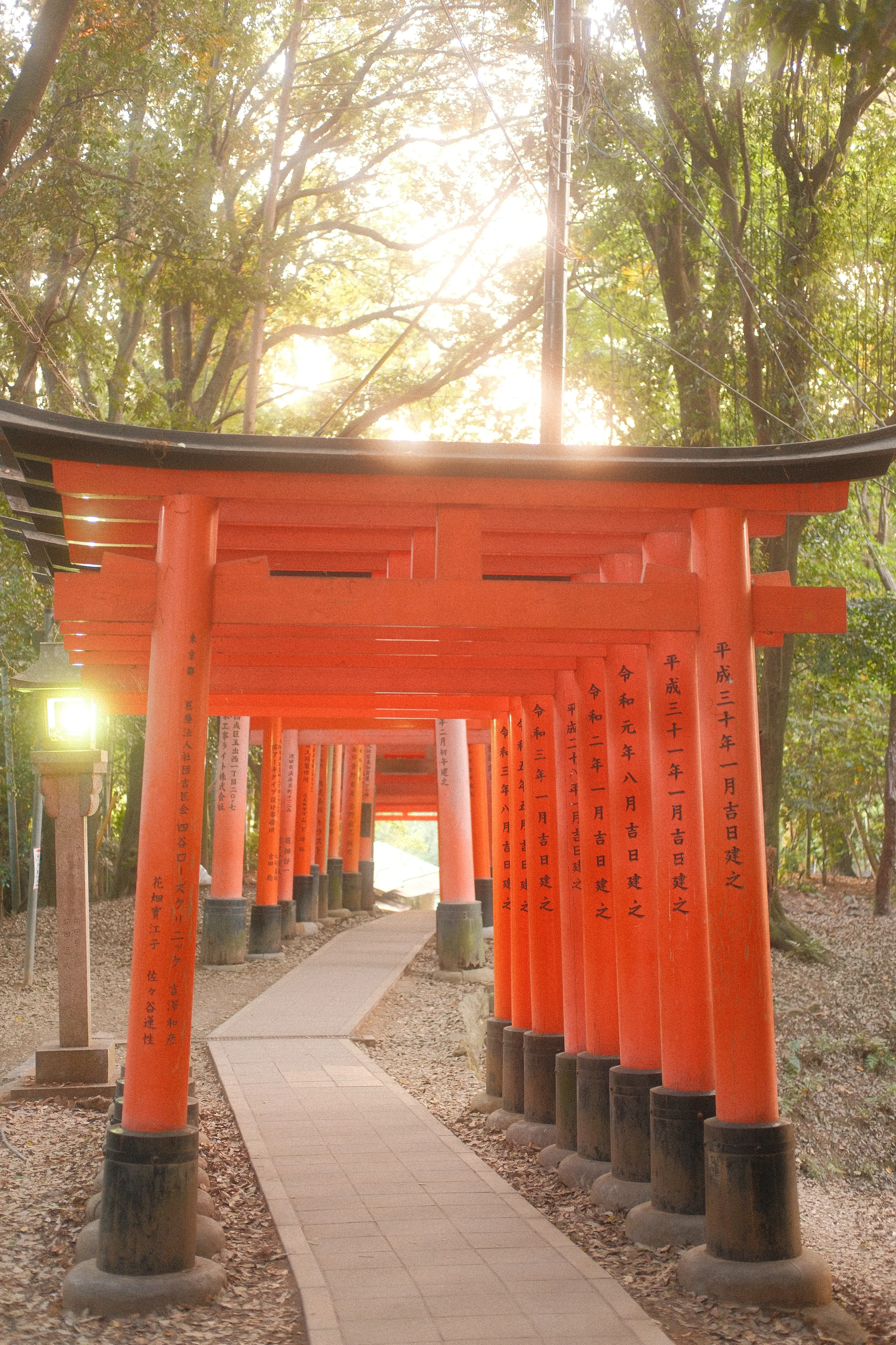 A stone path through a tunnel of torii, lit from behind