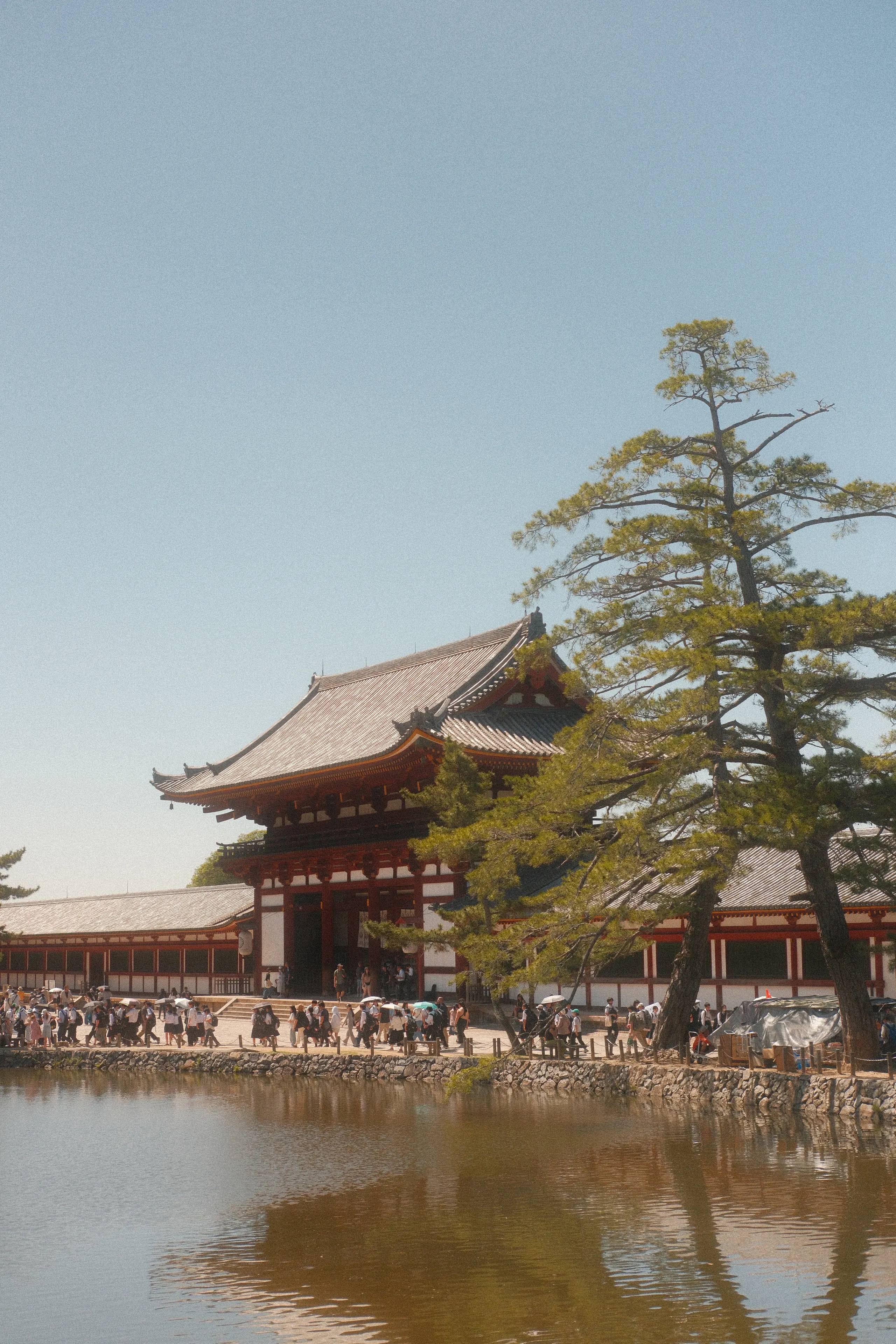 Tōdai-ji beyond a pond and a pine in Nara