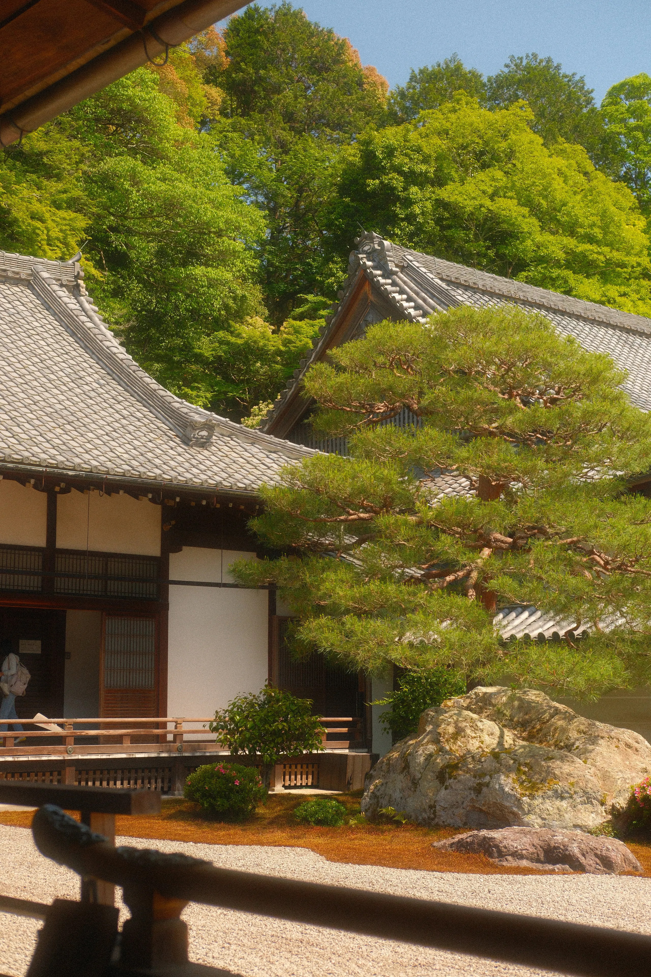 A temple building and garden among pines in Kyoto