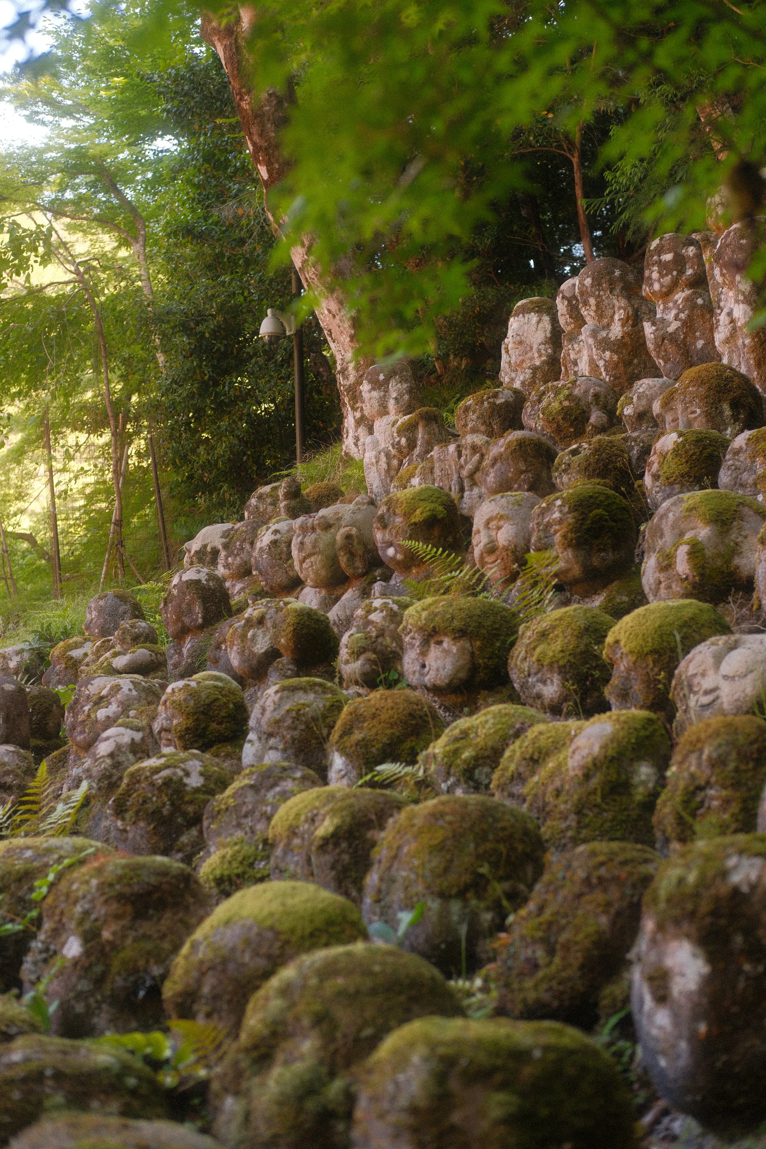 Moss-covered stone figures at Otagi Nenbutsu-ji