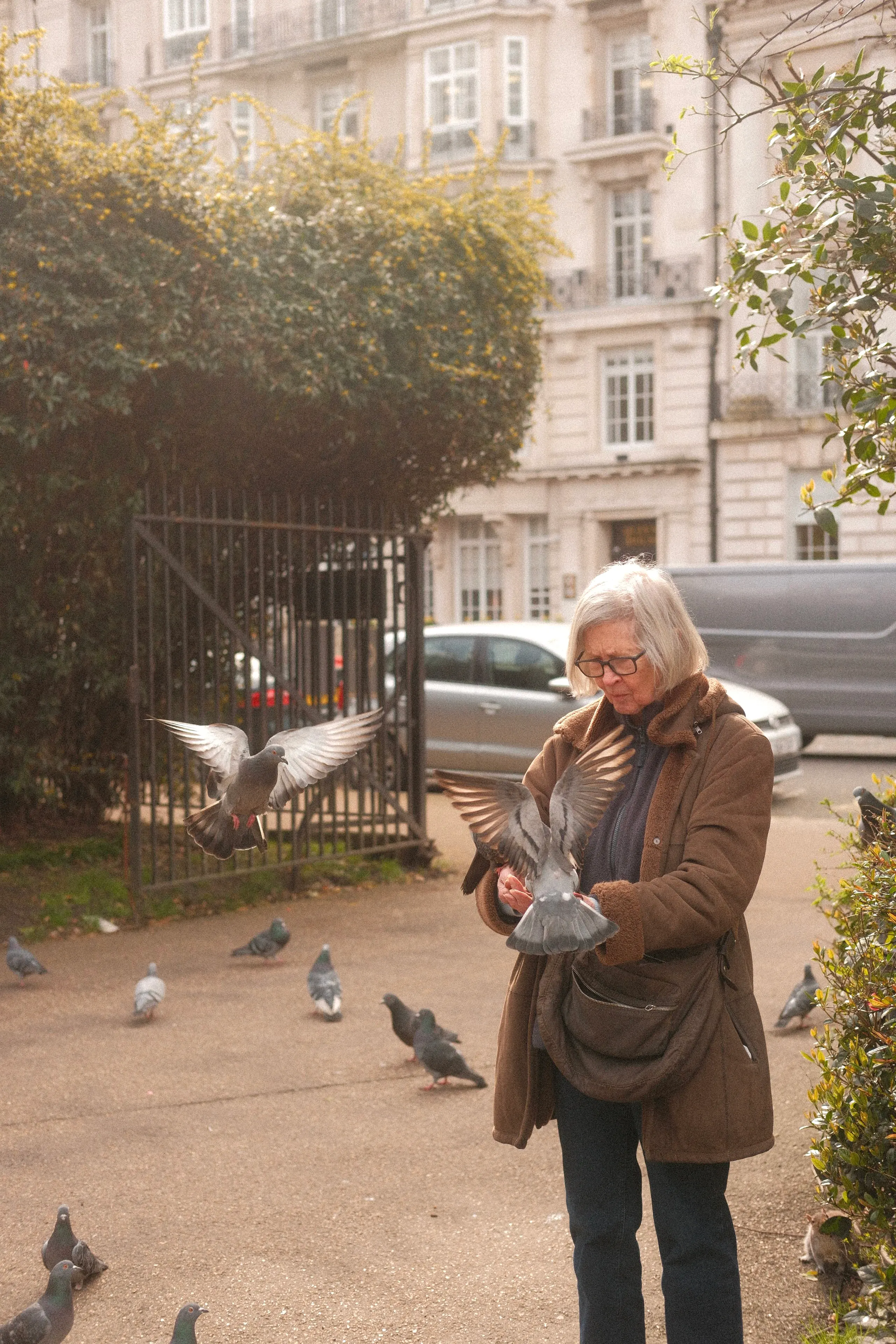 A woman feeding pigeons on a London street