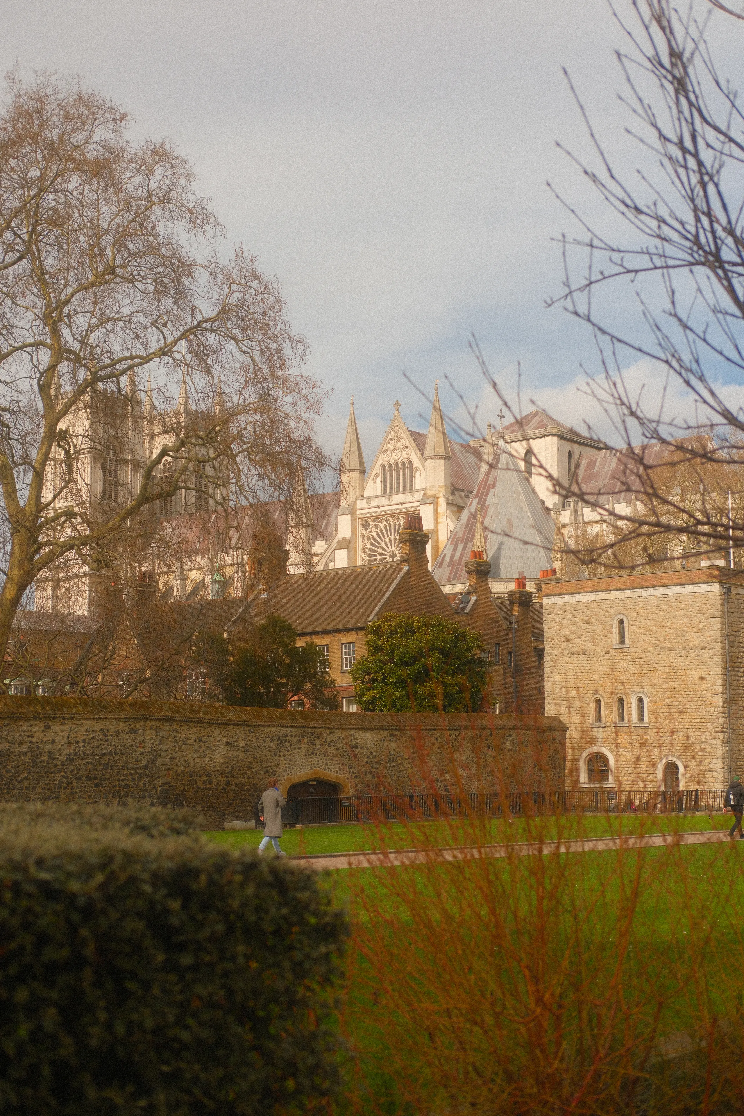 A Gothic building behind trees and a lawn in Westminster