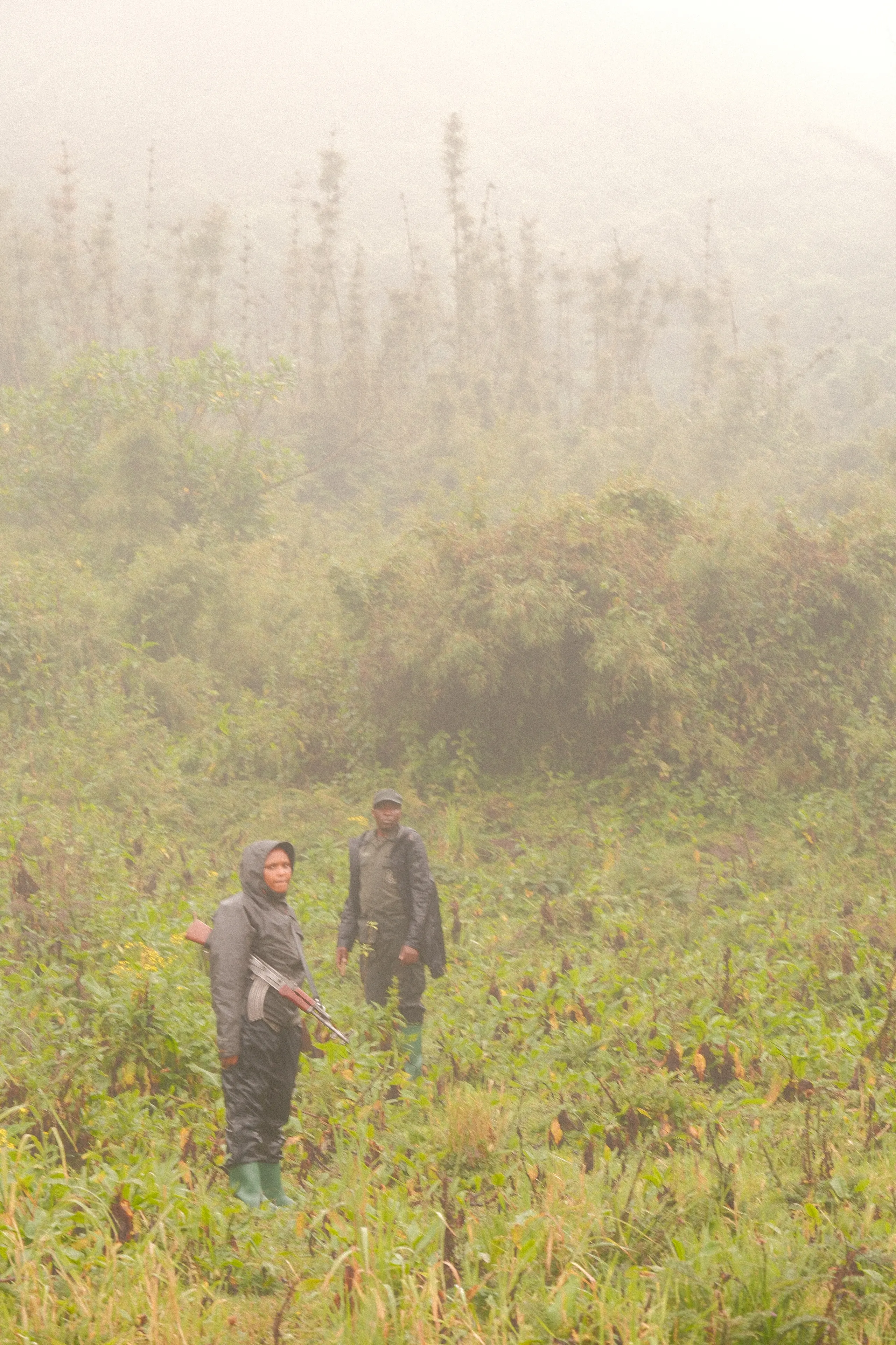 Two park rangers standing in a misty clearing