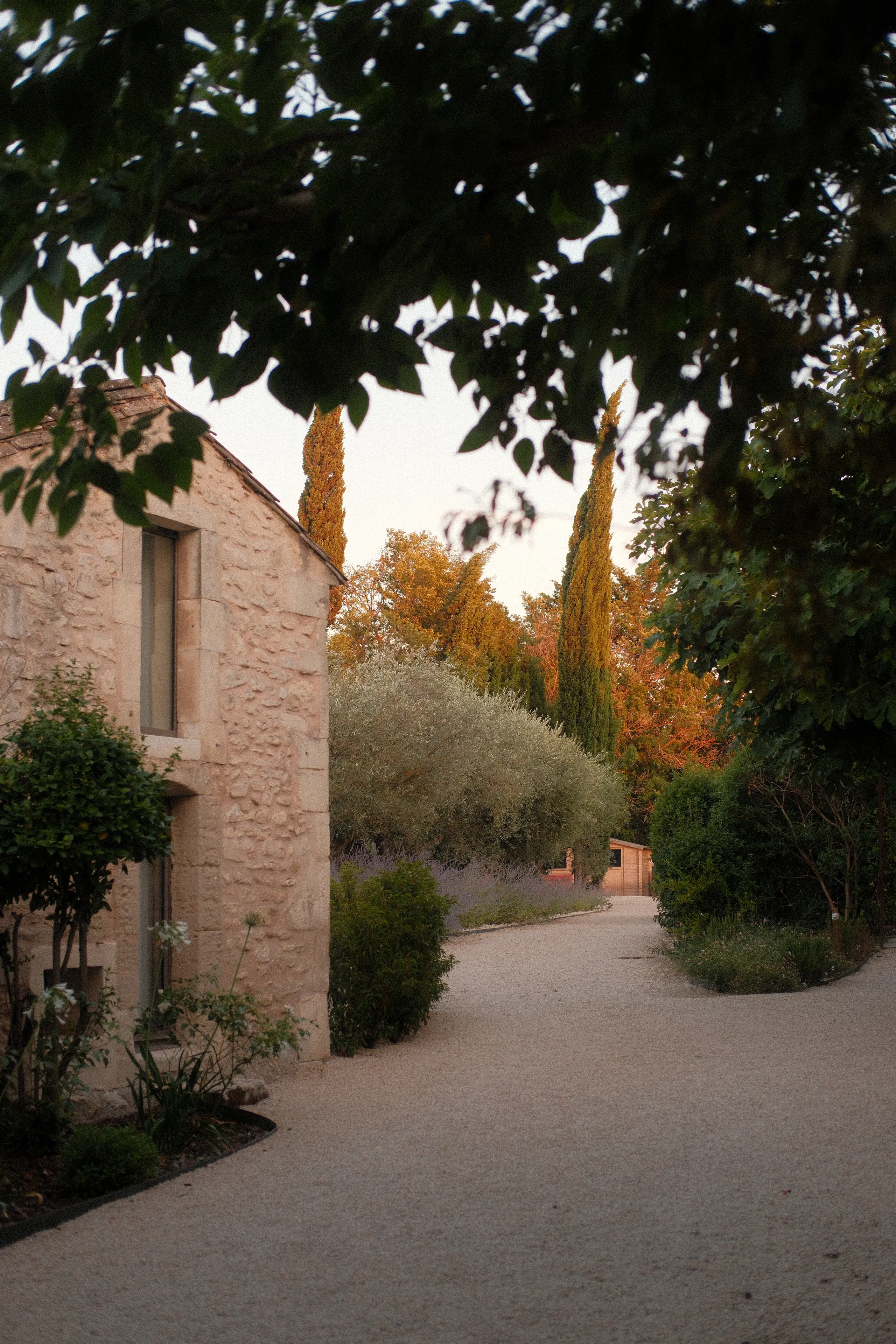 A gravel lane past a stone house and cypress trees in Provence