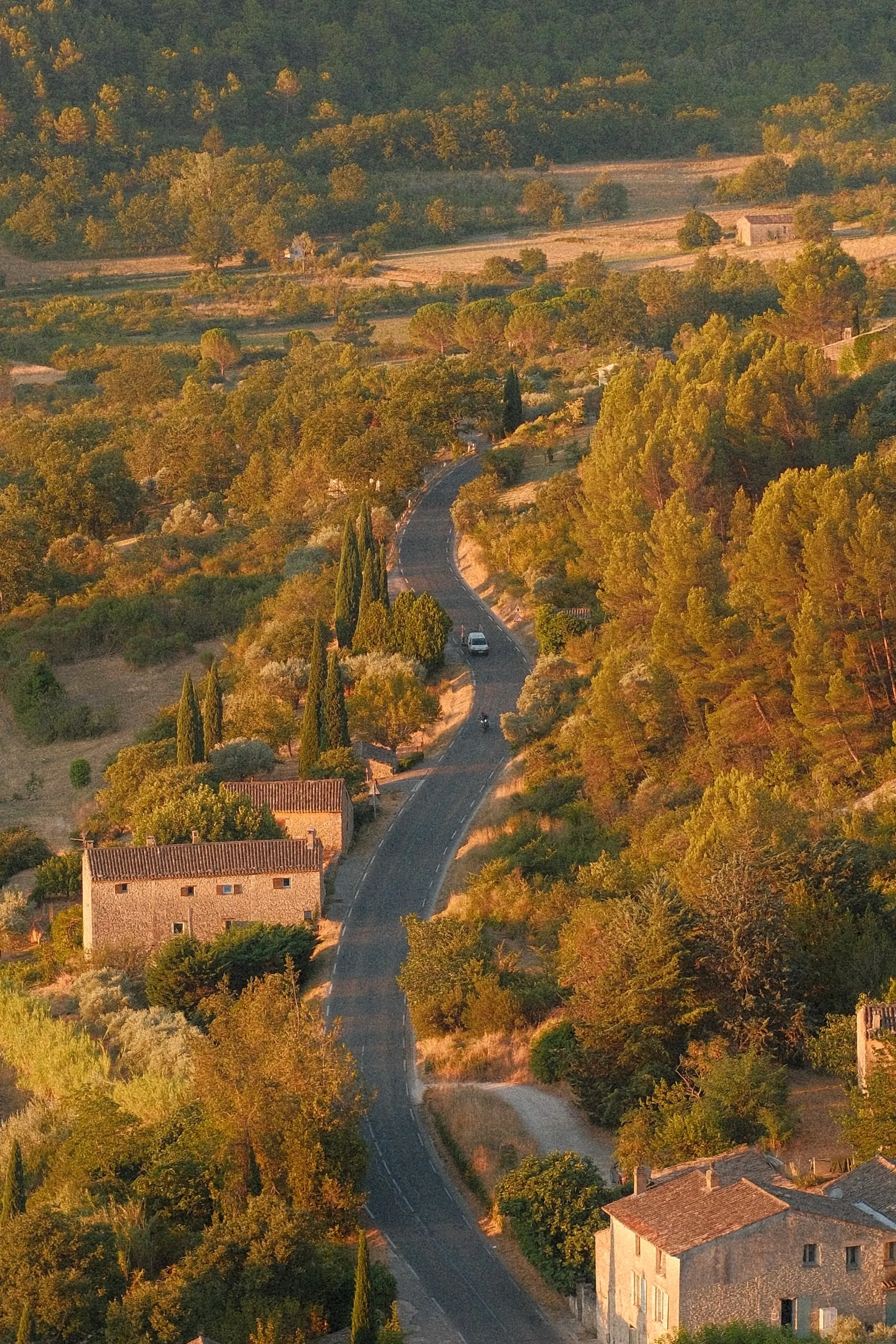 A road winding through golden Provençal countryside below Gordes